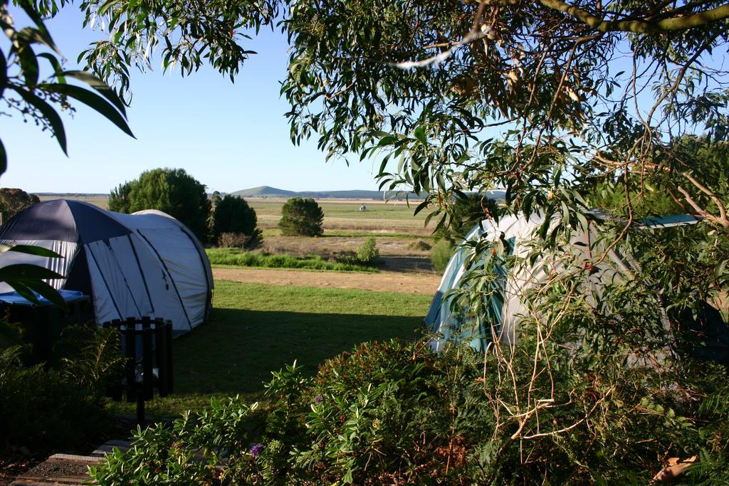 Millicent Hillview Caravan Park Esterno foto