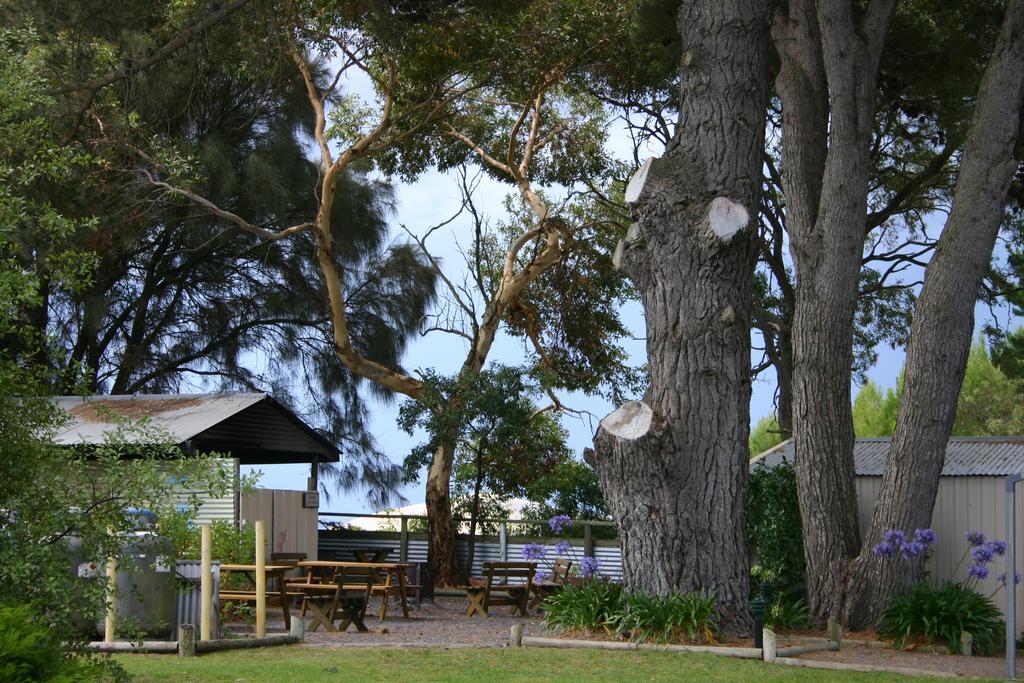 Millicent Hillview Caravan Park Esterno foto