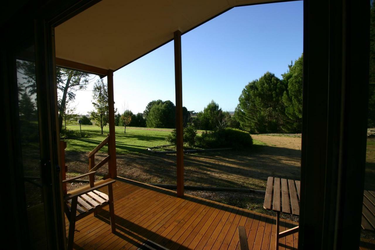 Millicent Hillview Caravan Park Esterno foto